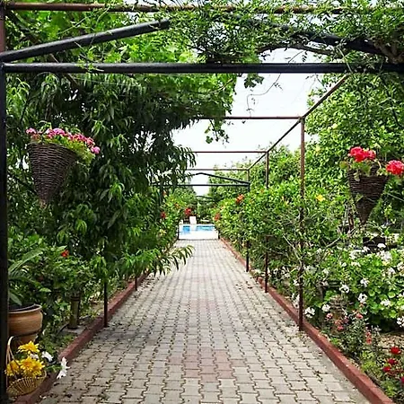 Frühstückspension Lapida Garden Lapithos (Northern Cyprus)