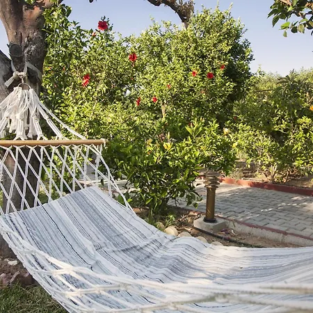 Hotel Lapida Garden 3*