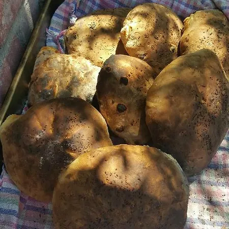 Lapida Garden Lapithos (Northern Cyprus)