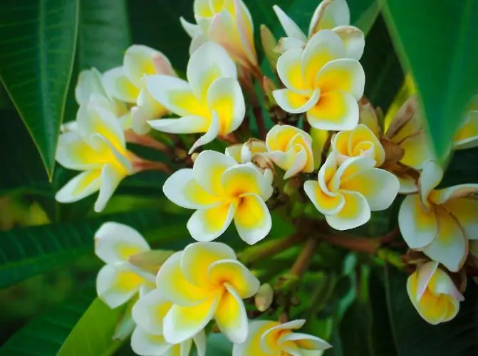 Lapida Garden Panzió 3*