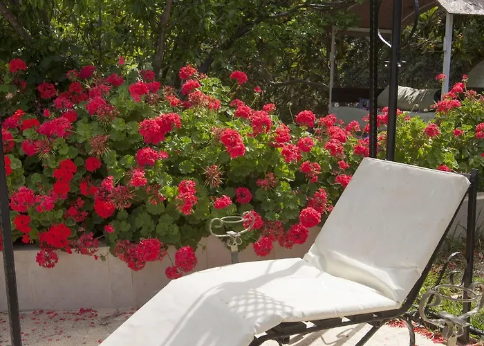 Lapida Garden 3* Lapithos (Northern Cyprus)