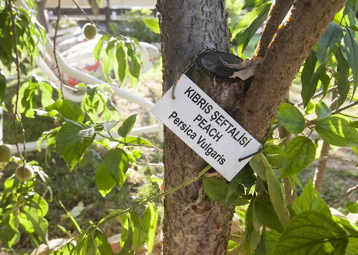 Lapida Garden Panzió Lápithosz