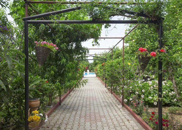 Lapida Garden Nocleg ze śniadaniem