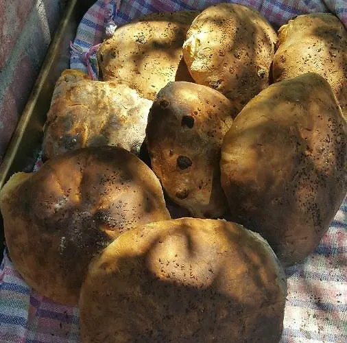 Lapida Garden Lapithos (Northern Cyprus)